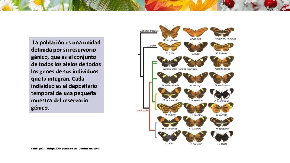 La población es una unidad definida por su reservorio génico, que es el conjunto