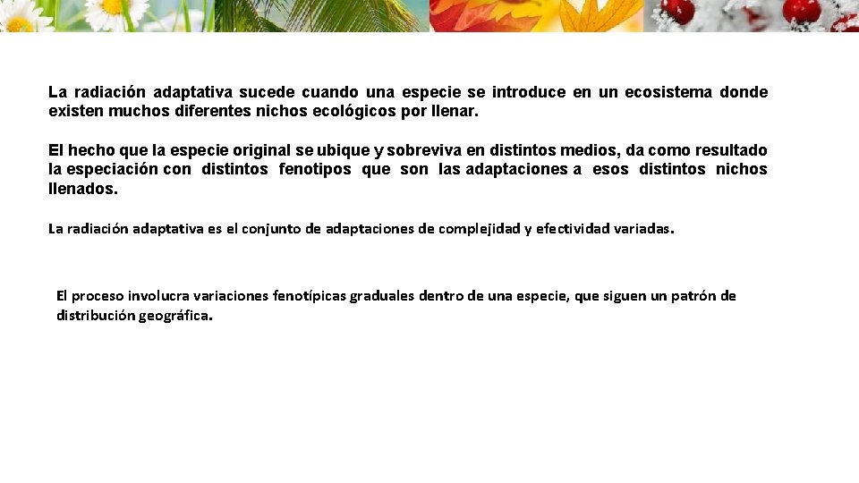 La radiación adaptativa sucede cuando una especie se introduce en un ecosistema donde existen