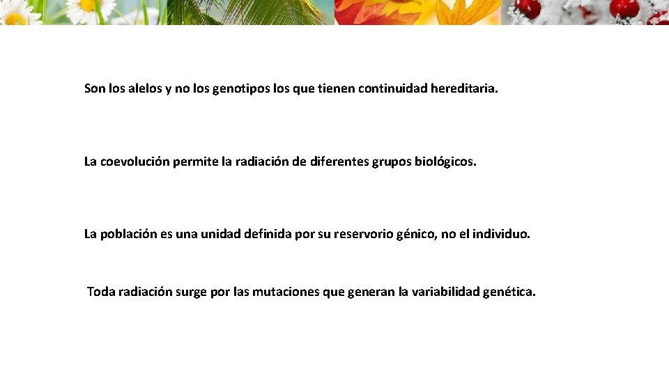 Son los alelos y no los genotipos los que tienen continuidad hereditaria. La coevolución