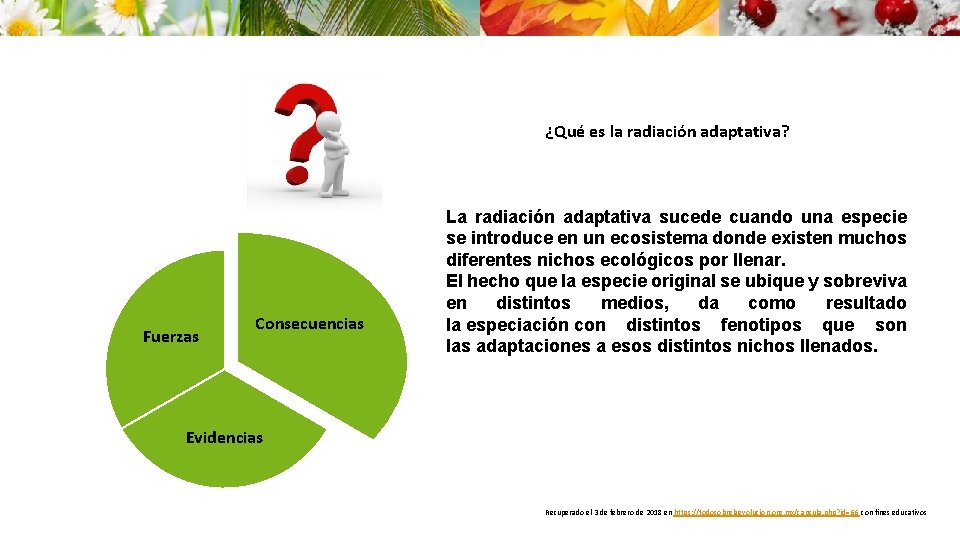 ¿Qué es la radiación adaptativa? Fuerzas Consecuencias La radiación adaptativa sucede cuando una especie