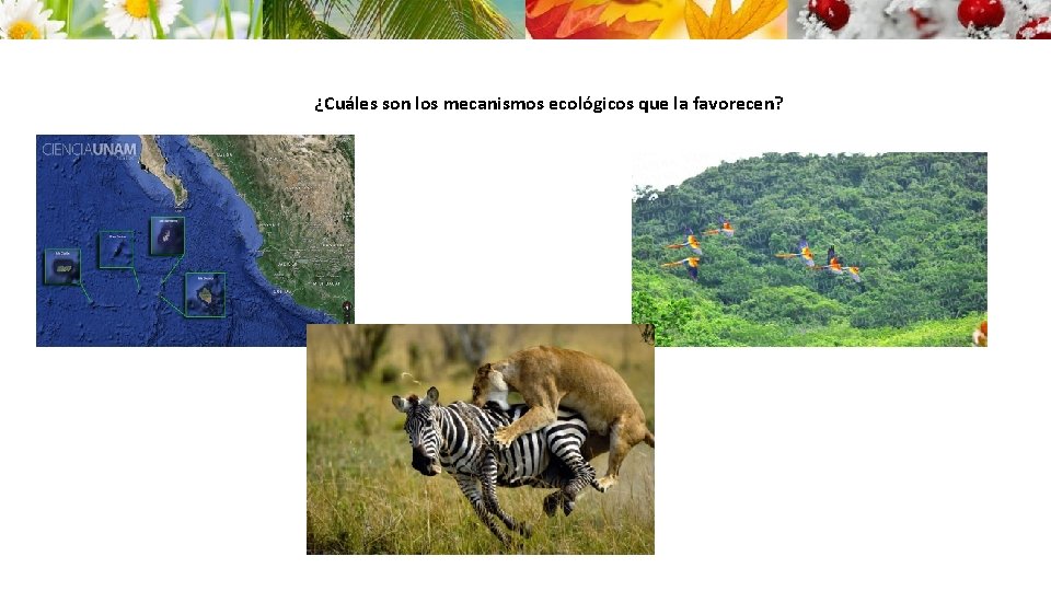 ¿Cuáles son los mecanismos ecológicos que la favorecen? 