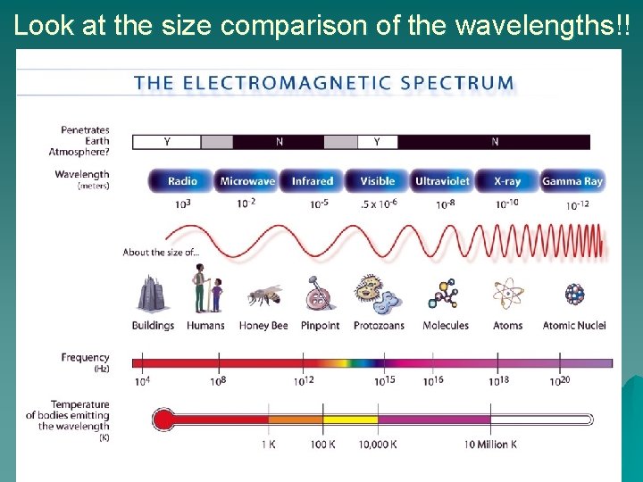 Look at the size comparison of the wavelengths!! 