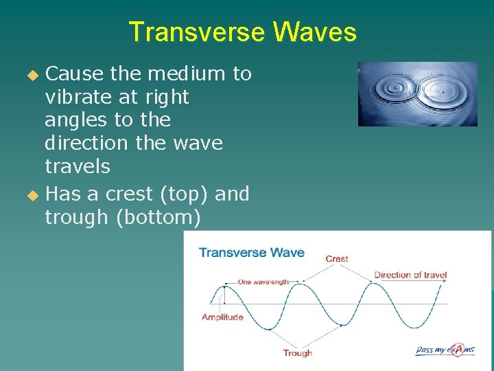 Transverse Waves Cause the medium to vibrate at right angles to the direction the