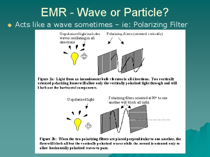 EMR - Wave or Particle? u Acts like a wave sometimes – ie: Polarizing