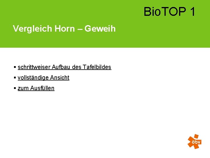 Bio. TOP 1 Vergleich Horn – Geweih § schrittweiser Aufbau des Tafelbildes § vollständige