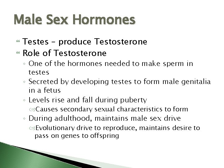 Male Sex Hormones Testes – produce Testosterone Role of Testosterone ◦ One of the