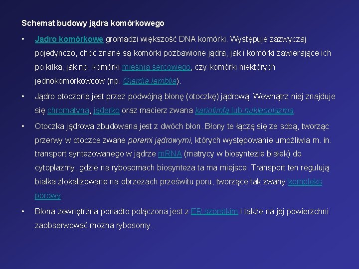 Schemat budowy jądra komórkowego • Jądro komórkowe gromadzi większość DNA komórki. Występuje zazwyczaj pojedynczo,