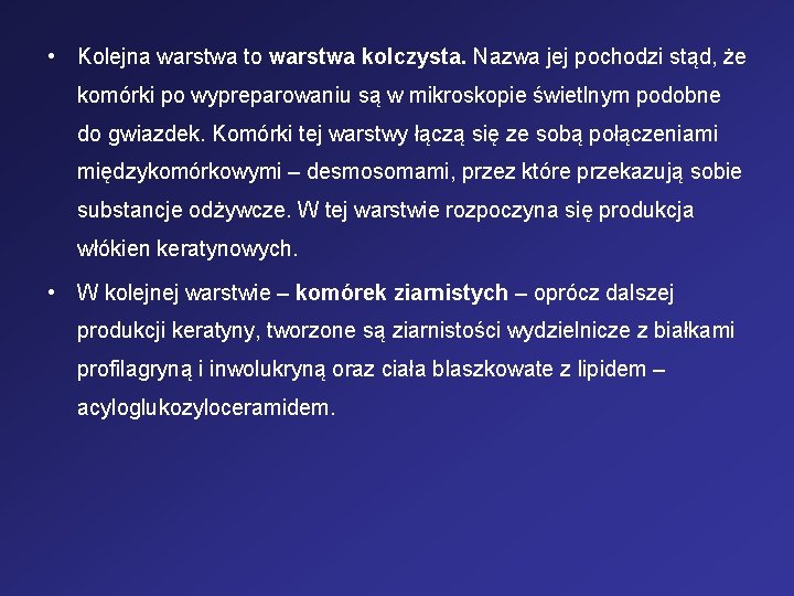  • Kolejna warstwa to warstwa kolczysta. Nazwa jej pochodzi stąd, że komórki po