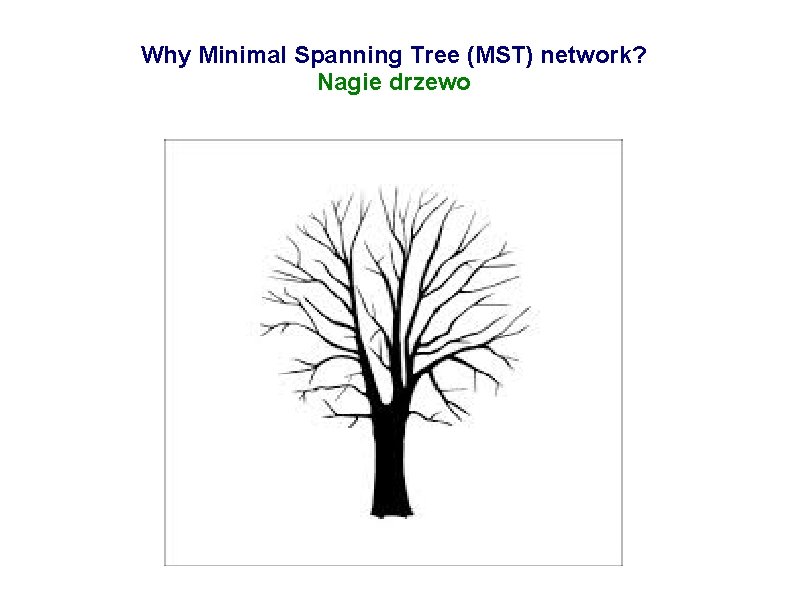 Why Minimal Spanning Tree (MST) network? Nagie drzewo 