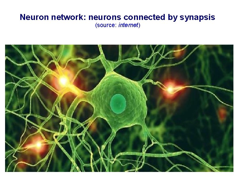 Neuron network: neurons connected by synapsis (source: internet) 