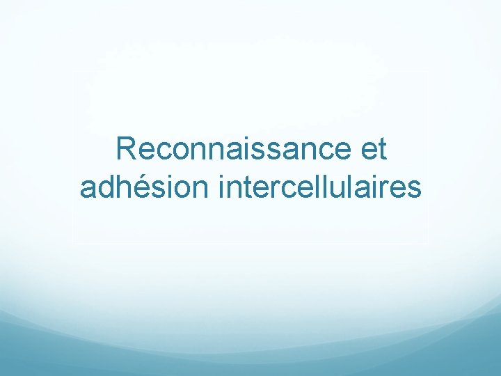 Reconnaissance et adhésion intercellulaires 