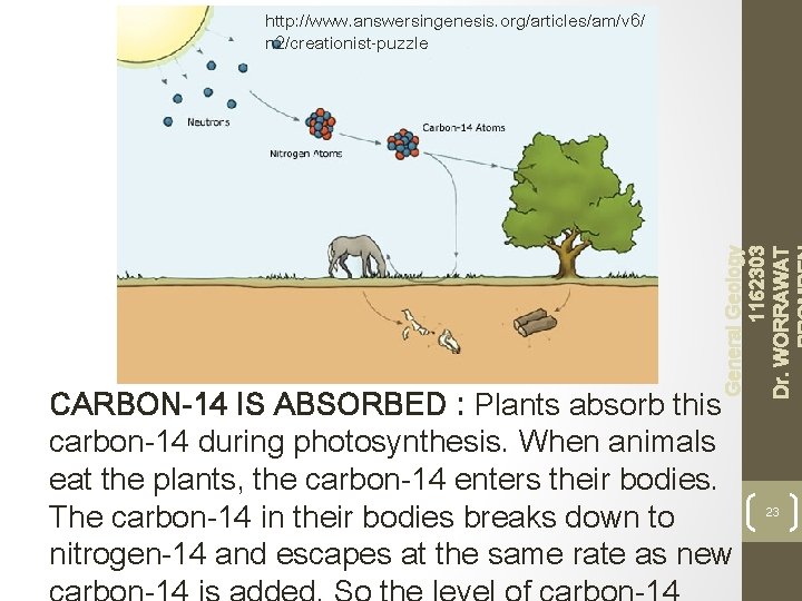 General Geology 1162303 Dr. WORRAWAT http: //www. answersingenesis. org/articles/am/v 6/ n 2/creationist-puzzle CARBON-14 IS