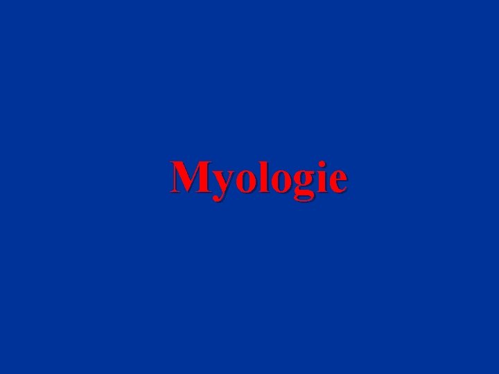 Myologie 