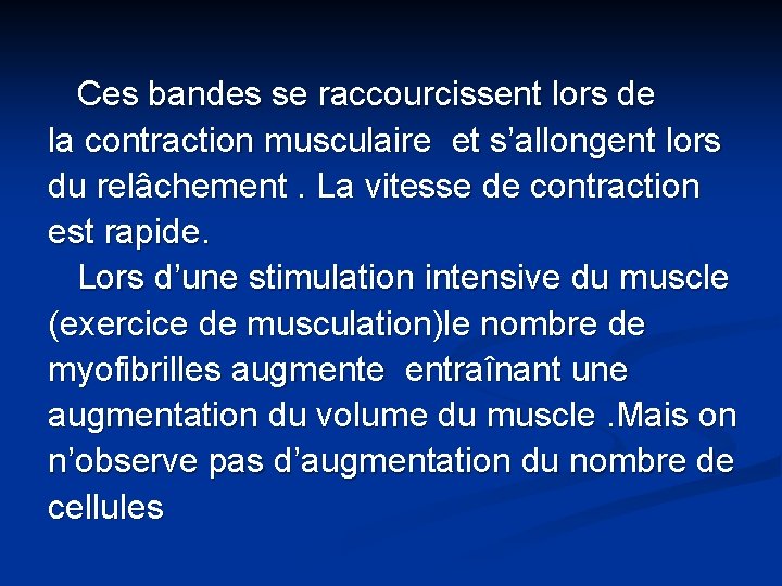 Ces bandes se raccourcissent lors de la contraction musculaire et s’allongent lors du relâchement.