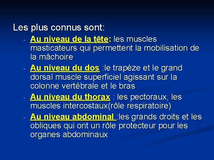 Les plus connus sont: - - - Au niveau de la tête: les muscles