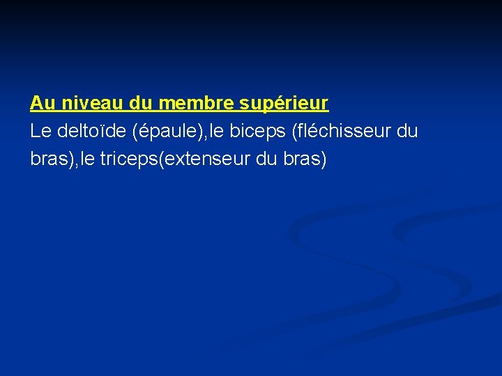 Au niveau du membre supérieur Le deltoïde (épaule), le biceps (fléchisseur du bras), le