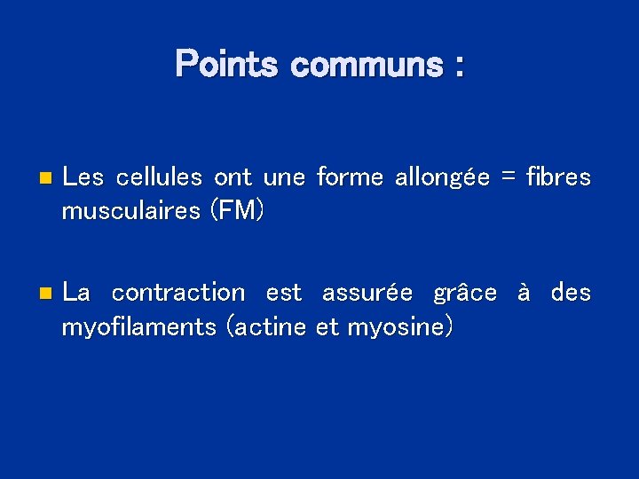 Points communs : n Les cellules ont une forme allongée = fibres musculaires (FM)