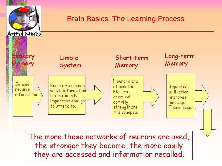 Brain Basics: The Learning Process Sensory Memory Senses receive information. Limbic System Brain determines