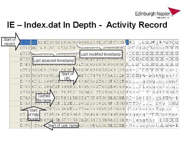 IE – Index. dat In Depth - Activity Record Start of record Last modified IE – Index. dat In Depth - Activity Record Start of record Last modified