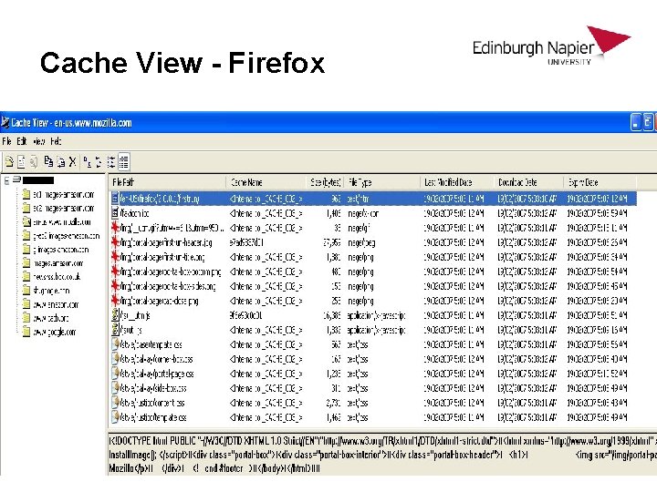 Cache View - Firefox Cache View - Firefox