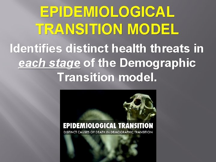 EPIDEMIOLOGICAL TRANSITION MODEL Identifies distinct health threats in each stage of the Demographic Transition