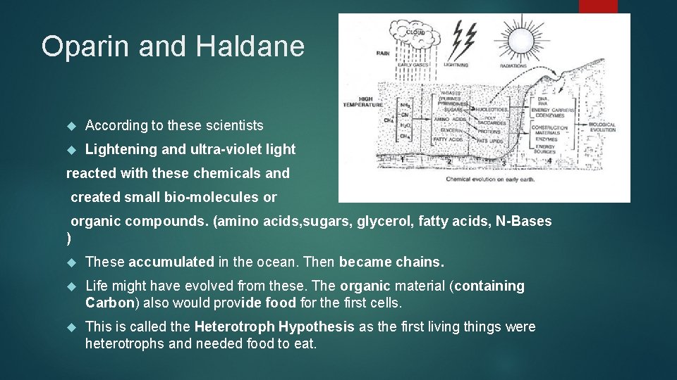 Oparin and Haldane According to these scientists Lightening and ultra-violet light reacted with these