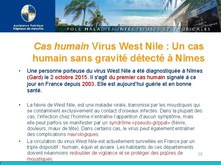 Cas humain Virus West Nile : Un cas humain sans gravité détecté à Nîmes