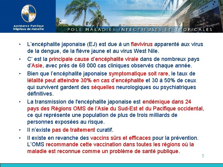  • • • L’encéphalite japonaise (EJ) est due à un flavivirus apparenté aux