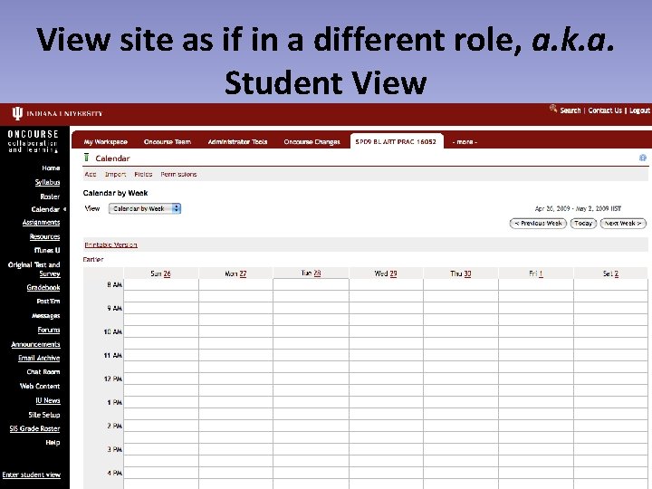 View site as if in a different role, a. k. a. Student View 29
