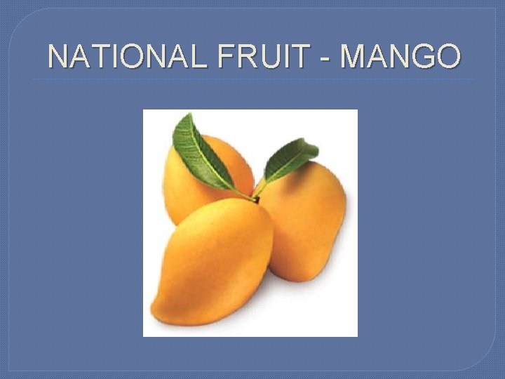 NATIONAL FRUIT - MANGO 