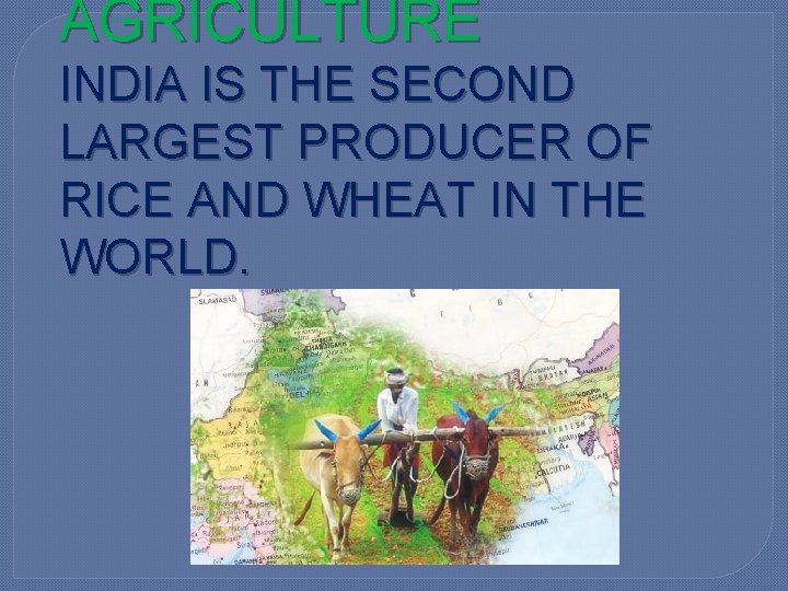 AGRICULTURE INDIA IS THE SECOND LARGEST PRODUCER OF RICE AND WHEAT IN THE WORLD.