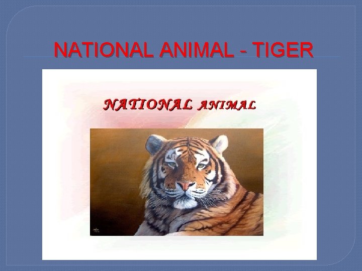 NATIONAL ANIMAL - TIGER 