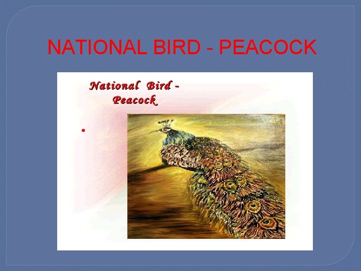 NATIONAL BIRD - PEACOCK 