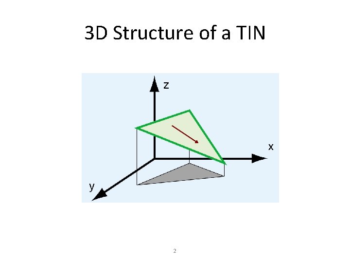 3 D Structure of a TIN 2 