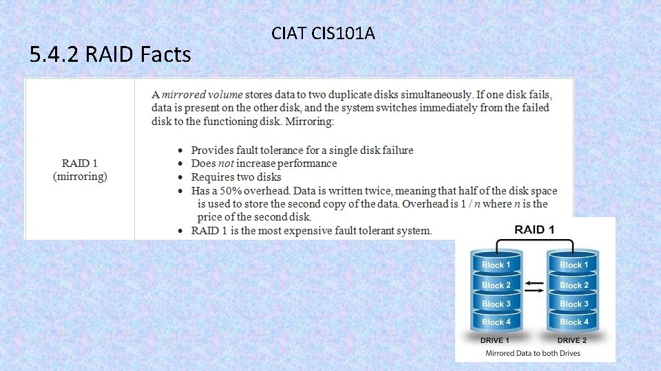 5. 4. 2 RAID Facts CIAT CIS 101 A 