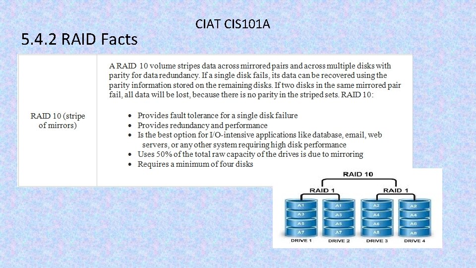 5. 4. 2 RAID Facts CIAT CIS 101 A 