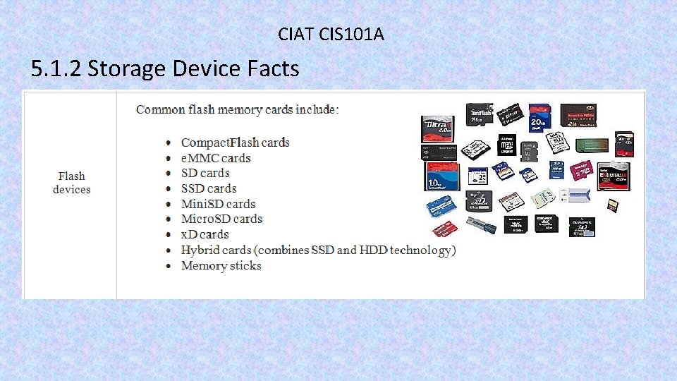 CIAT CIS 101 A 5. 1. 2 Storage Device Facts 