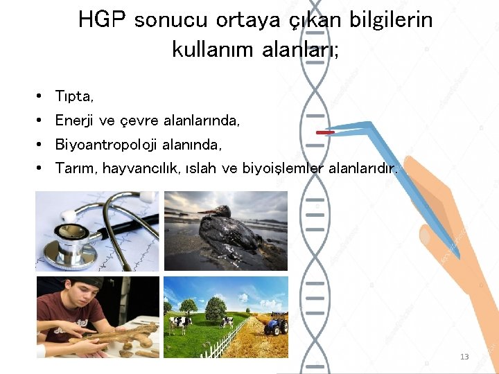 HGP sonucu ortaya çıkan bilgilerin kullanım alanları; • • Tıpta, Enerji ve çevre alanlarında,