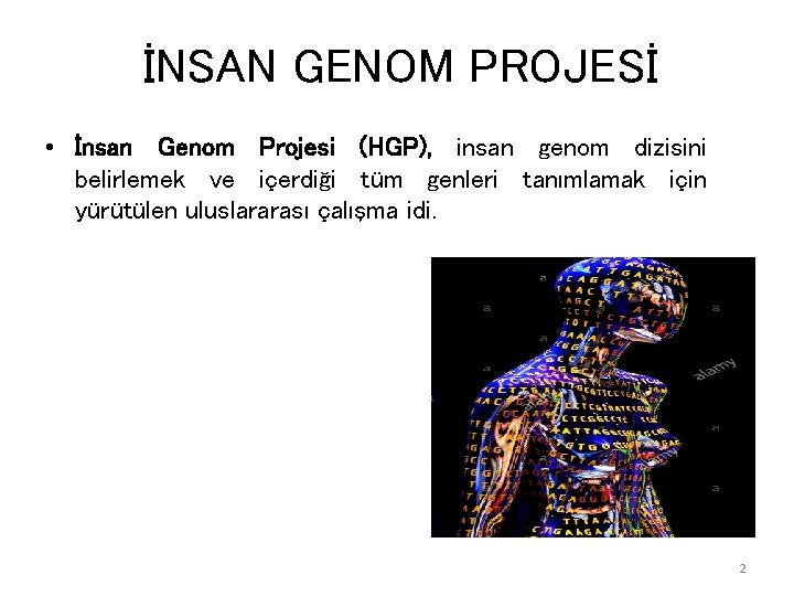 İNSAN GENOM PROJESİ • İnsan Genom Projesi (HGP), insan genom dizisini belirlemek ve içerdiği