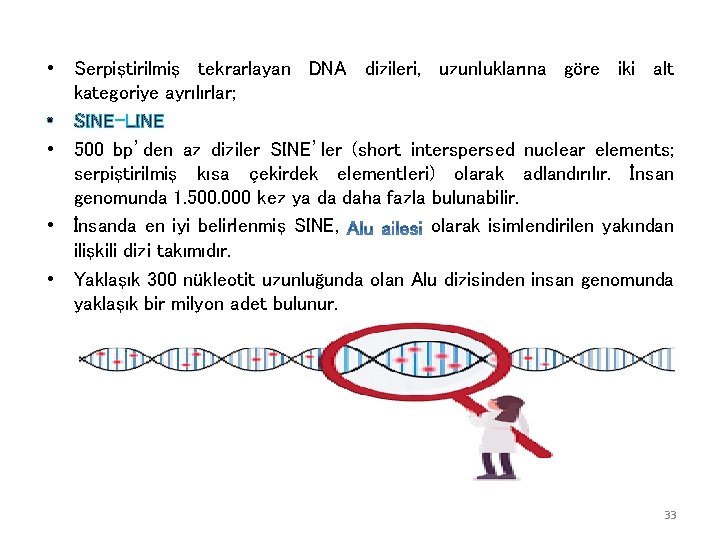  • Serpiştirilmiş tekrarlayan DNA dizileri, uzunluklarına göre iki alt kategoriye ayrılırlar; • SINE-LINE