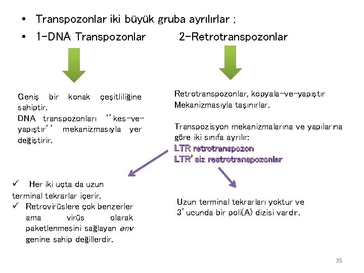  • Transpozonlar iki büyük gruba ayrılırlar ; • 1 -DNA Transpozonlar 2 -Retrotranspozonlar