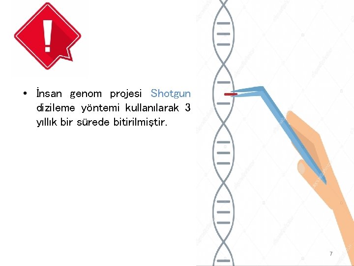  • İnsan genom projesi Shotgun dizileme yöntemi kullanılarak 3 yıllık bir sürede bitirilmiştir.