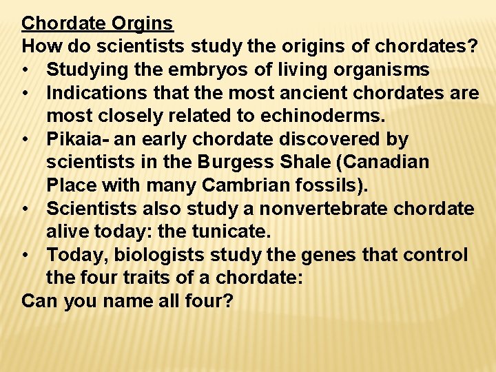 Chordate Orgins How do scientists study the origins of chordates? • Studying the embryos