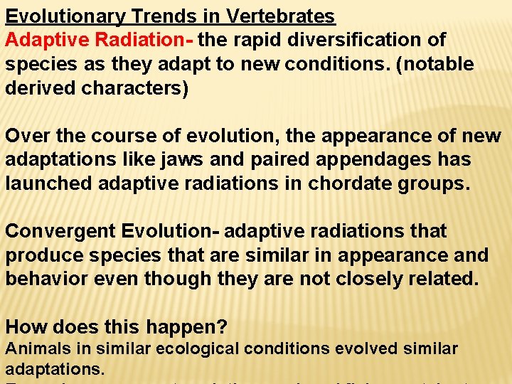 Evolutionary Trends in Vertebrates Adaptive Radiation- the rapid diversification of species as they adapt