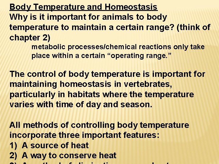 Body Temperature and Homeostasis Why is it important for animals to body temperature to