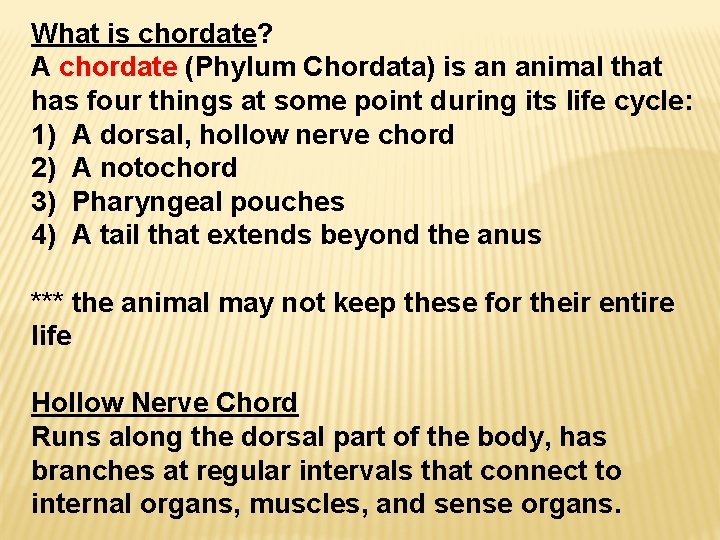 What is chordate? A chordate (Phylum Chordata) is an animal that has four things