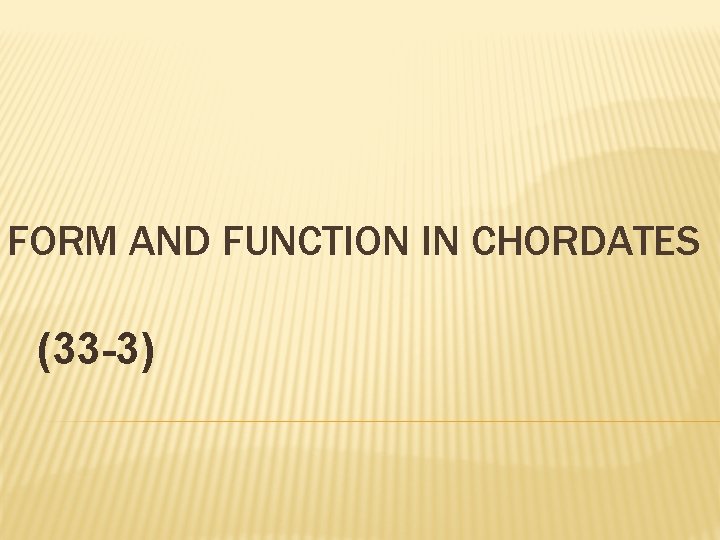 FORM AND FUNCTION IN CHORDATES (33 -3) 