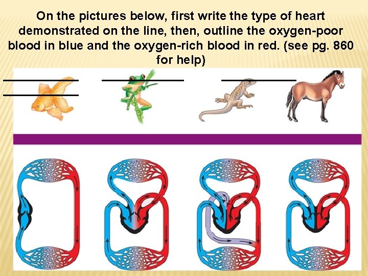 On the pictures below, first write the type of heart demonstrated on the line,