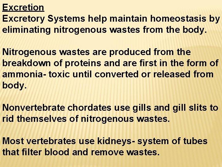 Excretion Excretory Systems help maintain homeostasis by eliminating nitrogenous wastes from the body. Nitrogenous
