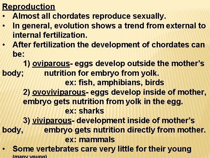 Reproduction • Almost all chordates reproduce sexually. • In general, evolution shows a trend